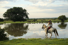 Colombia-Orinoquia-Casanare Horse Riding Safari